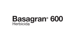 Basagran 600